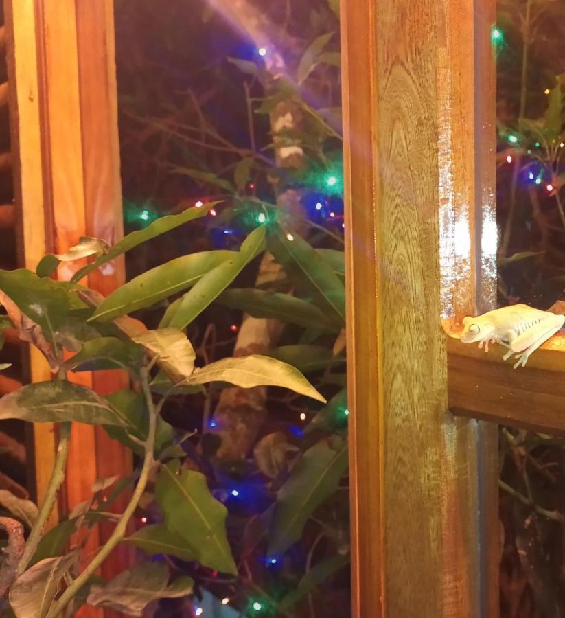 מלון La Casita Del Arbol Guaduas Cundi. מראה חיצוני תמונה